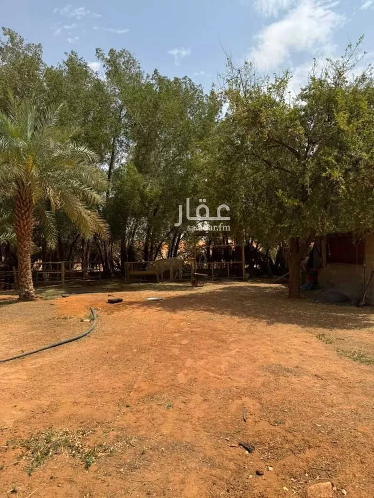 استراحة للبيع في شارع المشاعله, حي هجره الذيبيه وخضراء, مدينة هجره الذيبيه وخضراء, منطقة الرياض صورة 3