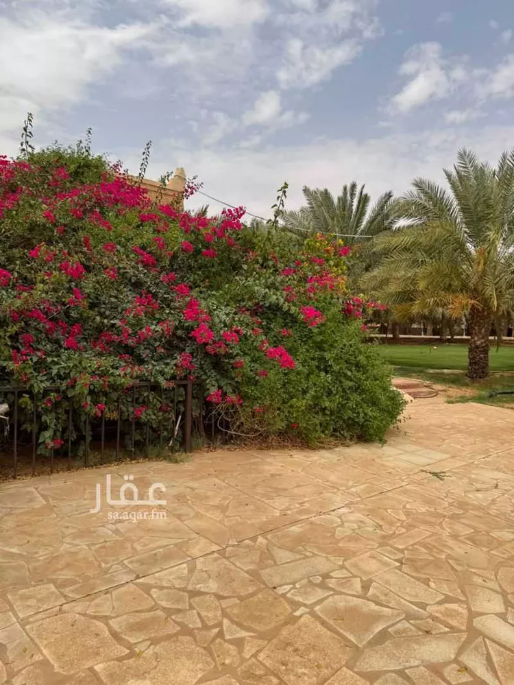 مزرعة للبيع في شارع المشاعله, حي هجره الذيبيه وخضراء, مدينة هجره الذيبيه وخضراء, منطقة الرياض 12