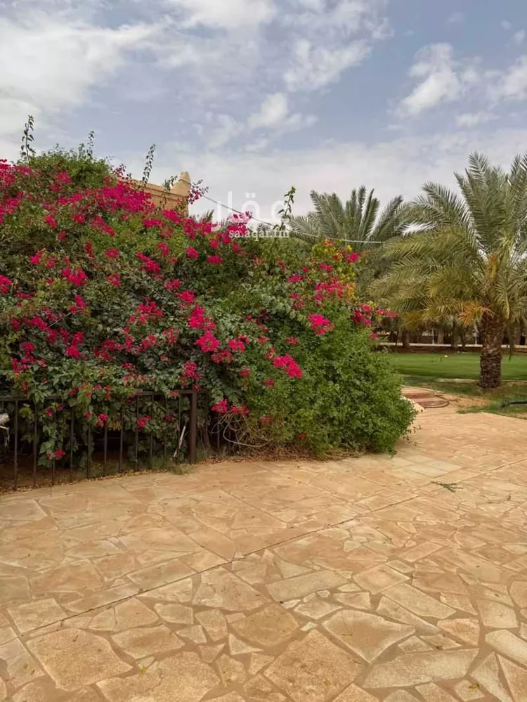 مزرعة للبيع في شارع المشاعله, حي هجره الذيبيه وخضراء, مدينة هجره الذيبيه وخضراء, منطقة الرياض 6