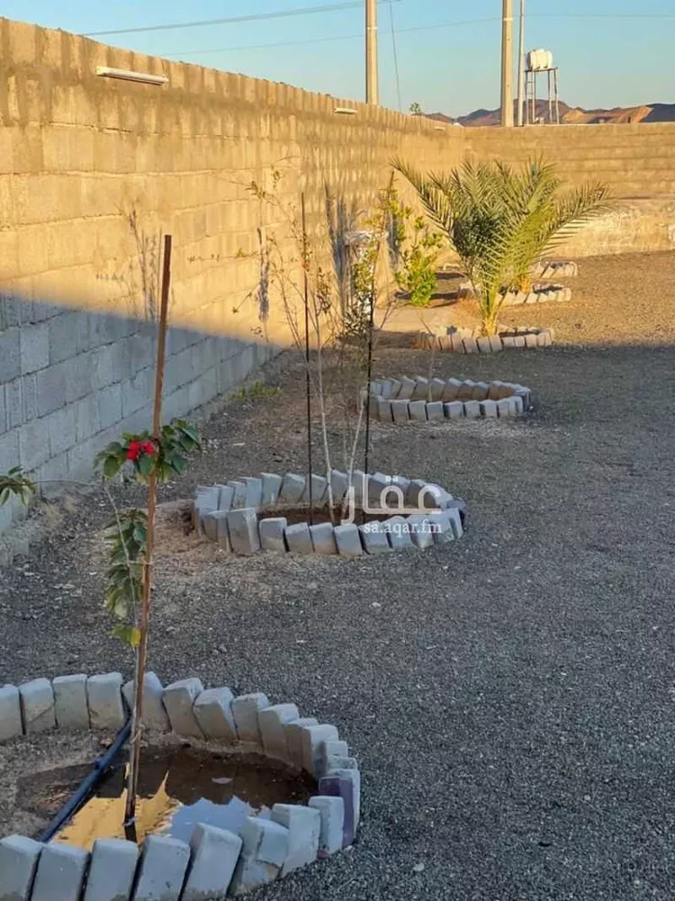 استراحة للبيع في شارع ضباء 170 ، العمود ، ضبا صورة 3