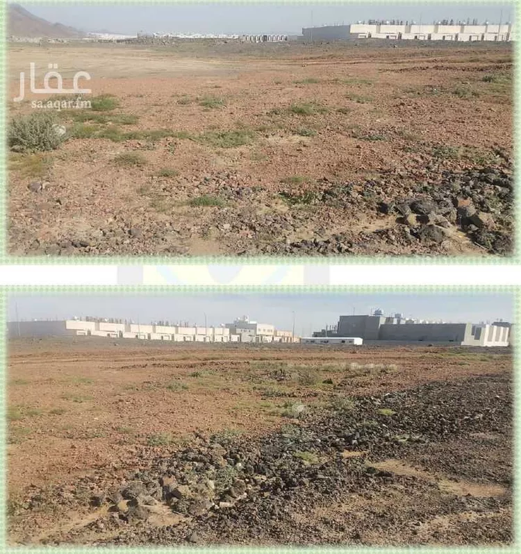 أرض للبيع في شارع عبدالحميد ابن صيفي, حي السكب, مدينة المدينه المنوره, منطقة المدينة المنورة صورة 5