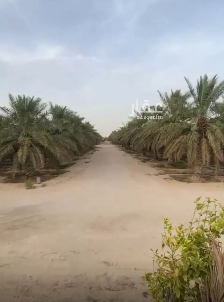 مزرعة للبيع في شارع الشارع الثاني والعشرين, حي منطقة الغويبة الزراعية, مدينة الاحساء, المنطقة الشرقية