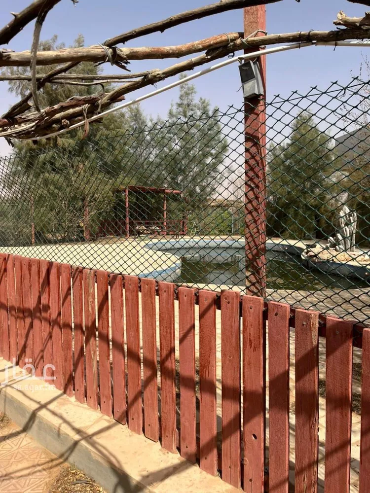 مزرعة للبيع في شارع 0000, حي هجره الذيبيه وخضراء, مدينة هجره الذيبيه وخضراء, منطقة الرياض صورة 5