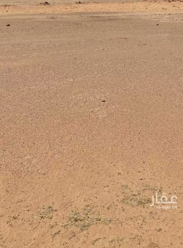 مزرعة للبيع في حي السايله وال نومه, مدينة السايله وال نومه, منطقة الرياض صورة 2