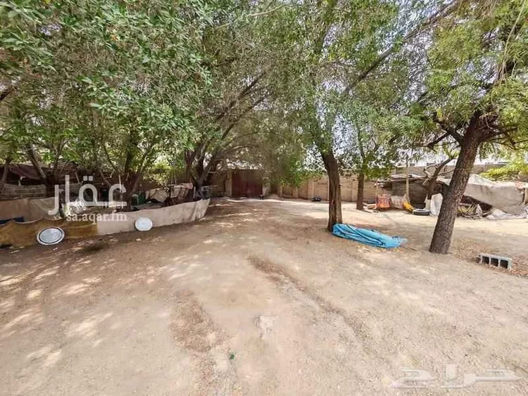 أرض للبيع في شارع شارع 125 النبعة, حي التنعيم, مدينة مكة المكرمة, منطقة مكة المكرمة صورة 5