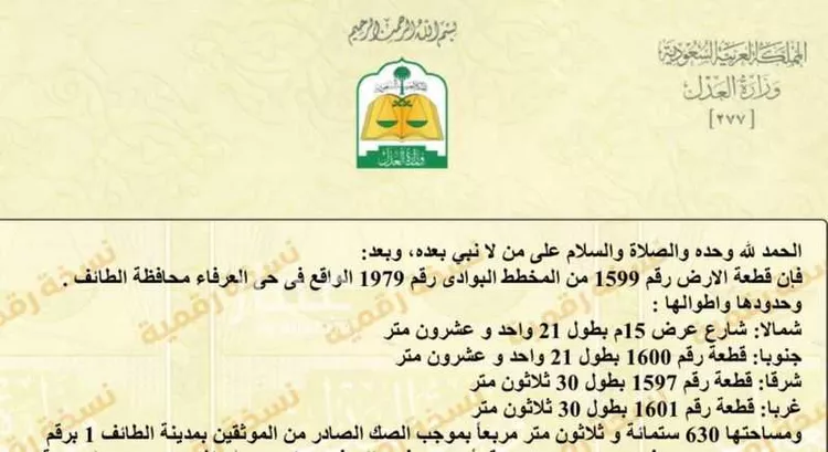 أرض للبيع في الطائف ، الطائف صورة 2