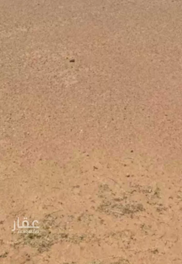 أرض للبيع في شارع 4901022, حي وادي جليل, مدينة امارة منطقة مكة المكرمة - الطائف, منطقة مكة المكرمة