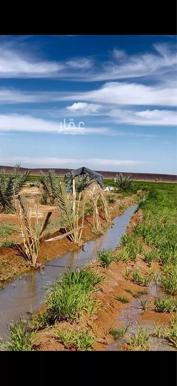 مزرعة للبيع في خيبر صورة 3