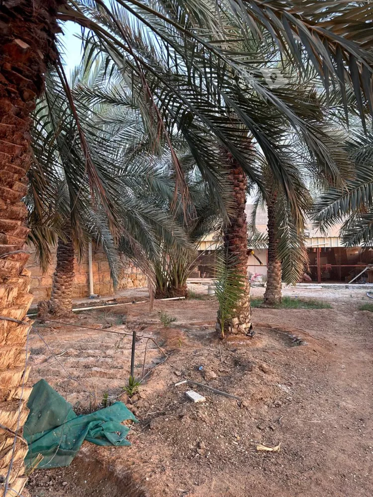 استراحة للبيع في شارع العماريه 158, حي مزارع وادى العماريه, مدينة مزارع وادى العماريه, منطقة الرياض صورة 3