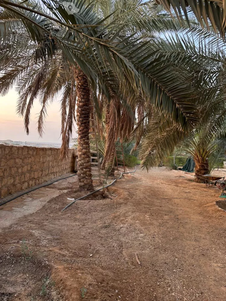 استراحة للبيع في شارع العماريه 158, حي مزارع وادى العماريه, مدينة مزارع وادى العماريه, منطقة الرياض 6