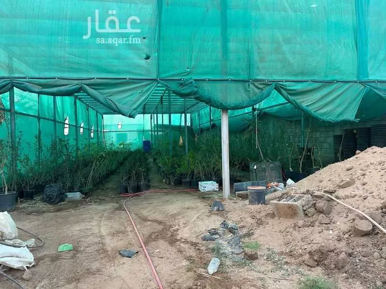 مزرعة للبيع في شارع المندسة 723, حي المندسة, مدينة المدينة المنورة, منطقة المدينة المنورة صورة 5