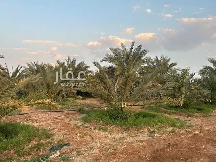 مزرعة للبيع في شارع المندسة 723, حي المندسة, مدينة المدينة المنورة, منطقة المدينة المنورة 8