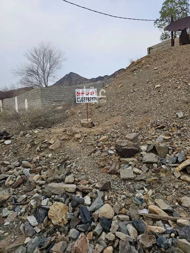 أرض للبيع في شارع ابن دواس ، المخواة ، المخواة صورة 2