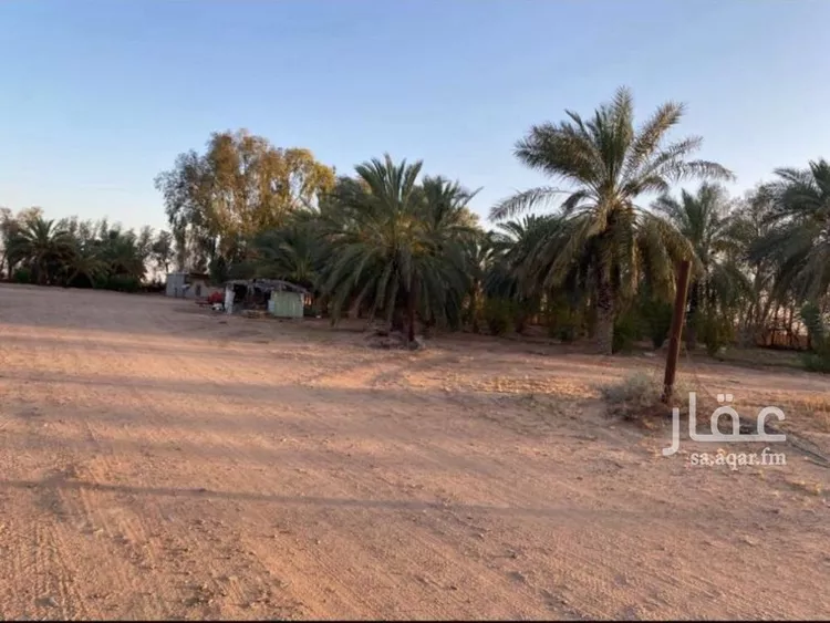 مزرعة للبيع في شارع بدون, حي جانين, مدينة جانين, منطقة حائل