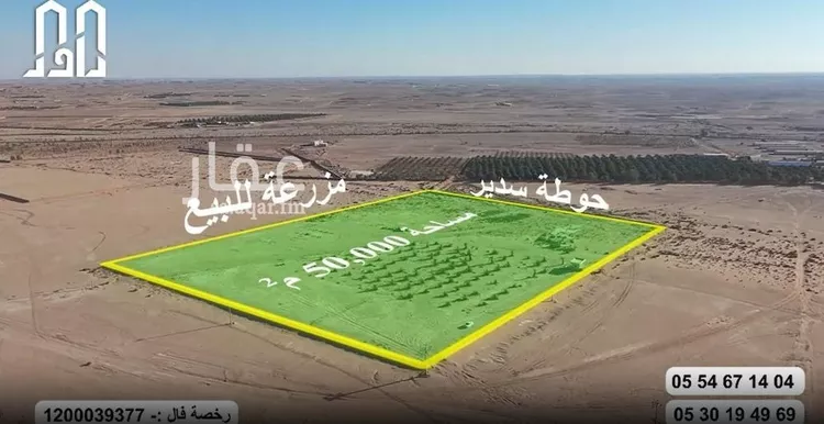 مزرعة للبيع في شارع لايوجد, حي مفرق الروضه وماحولها من مزارع, مدينة مفرق الروضه وماحولها من مزارع, منطقة الرياض