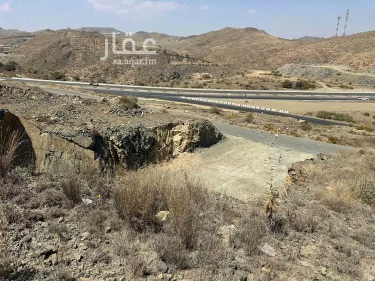 أرض للبيع في شارع شارع داخلي , حي العرين, مدينة أبها, منطقة عسير صورة 2