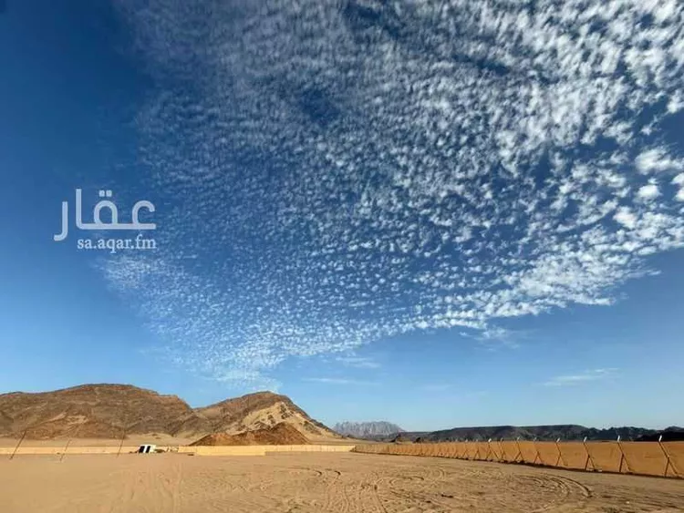 Land for Sale in Medina Al Balqaa صورة 4