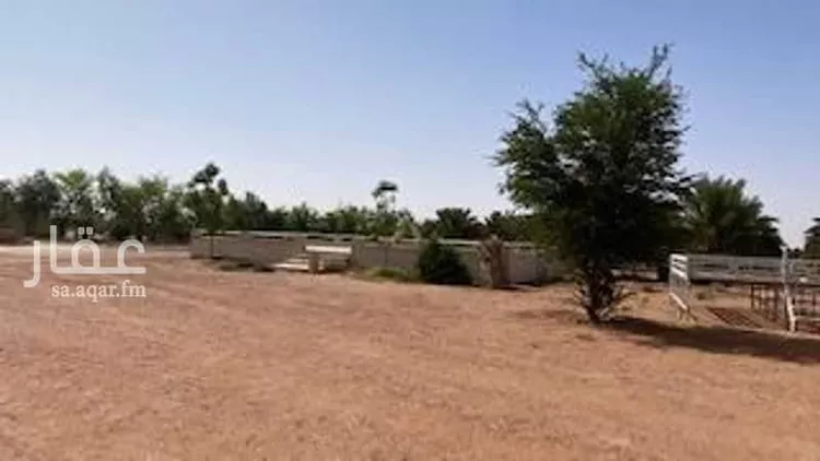 أرض للبيع في شارع اللغفيه 2086, حي مزارع البطينه والفرعه, مدينة مزارع البطينه والفرعه, منطقة الرياض صورة 2
