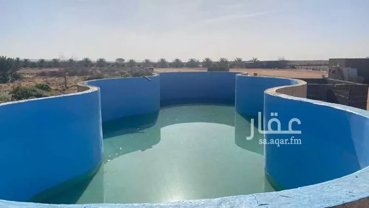 مزرعة للبيع في شارع اللغفيه 2086, حي مزارع البطينه والفرعه, مدينة مزارع البطينه والفرعه, منطقة الرياض صورة 5