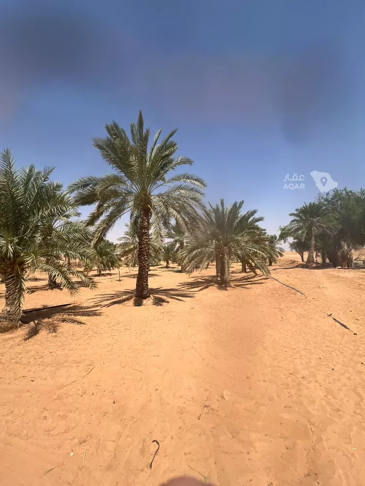 مزرعة للبيع في حي الشرق, مدينة الخرج, منطقة الرياض 9