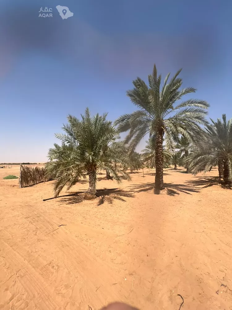 مزرعة للبيع في حي الشرق, مدينة الخرج, منطقة الرياض 10