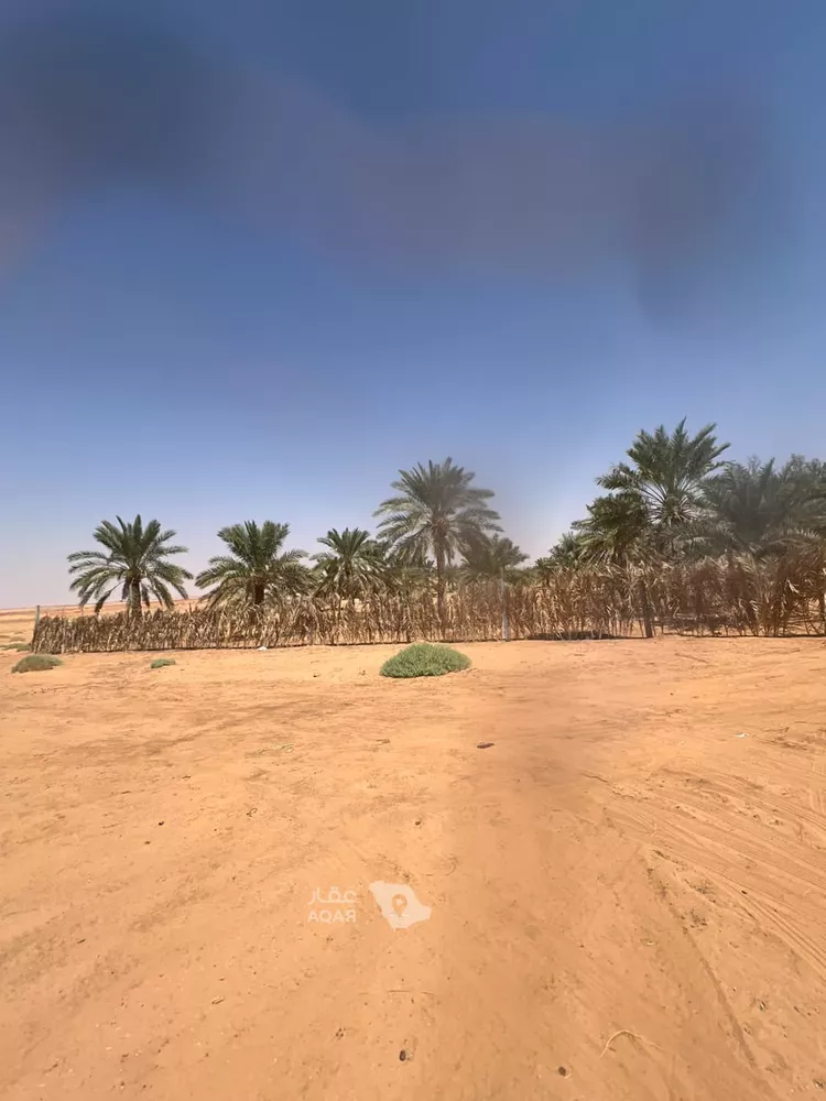 مزرعة للبيع في حي الشرق, مدينة الخرج, منطقة الرياض 11