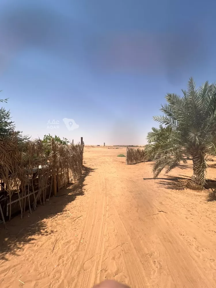 مزرعة للبيع في حي الشرق, مدينة الخرج, منطقة الرياض 15