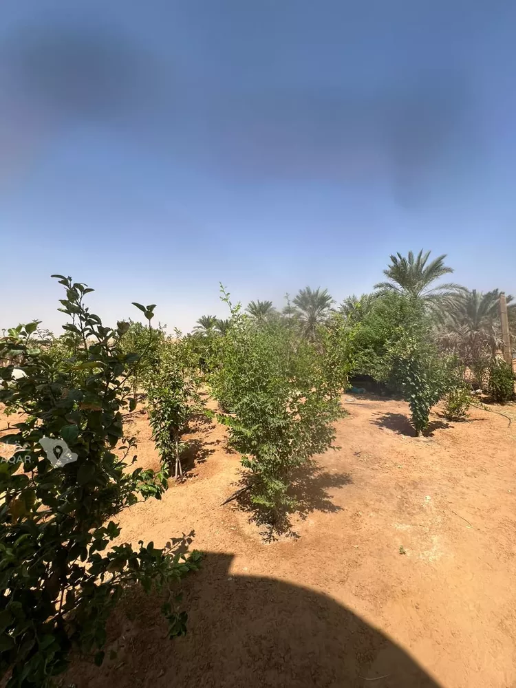 مزرعة للبيع في حي الشرق, مدينة الخرج, منطقة الرياض 8