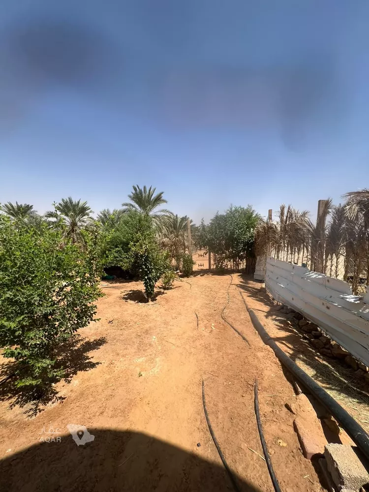 مزرعة للبيع في حي الشرق, مدينة الخرج, منطقة الرياض صورة 3