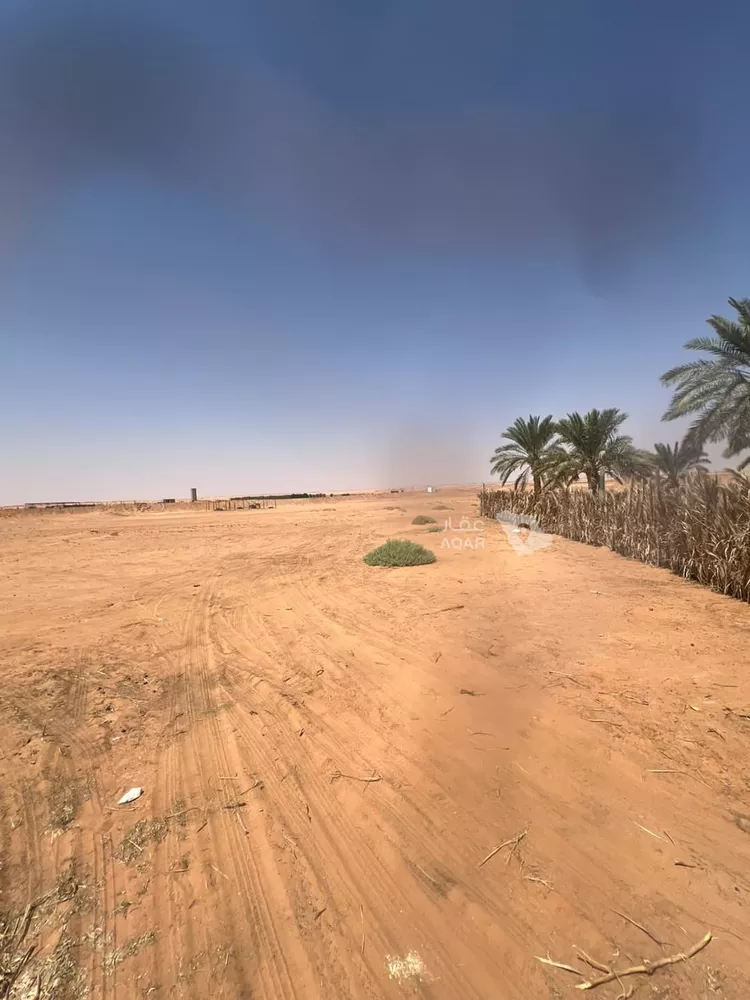 مزرعة للبيع في حي الشرق, مدينة الخرج, منطقة الرياض 14