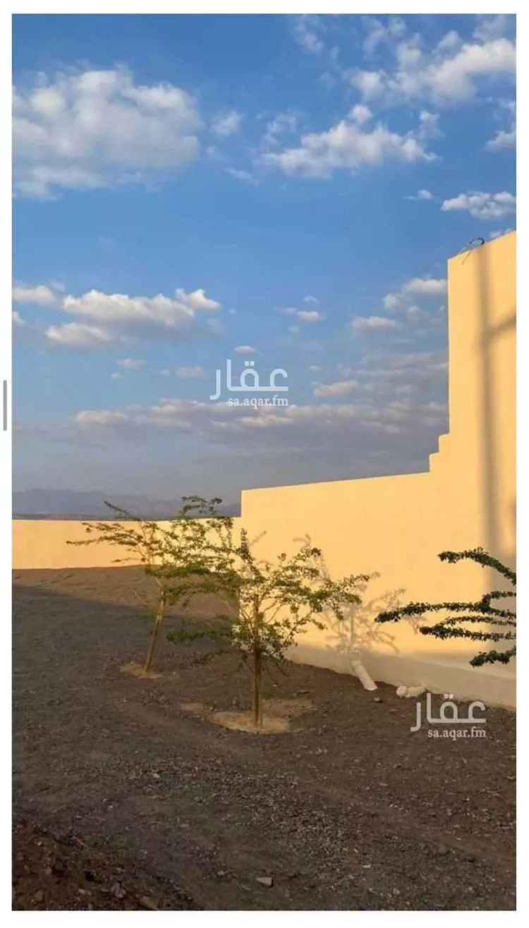 أرض للبيع في شارع 0000, حي المندسة, مدينة المدينه المنوره, منطقة المدينة المنورة صورة 4