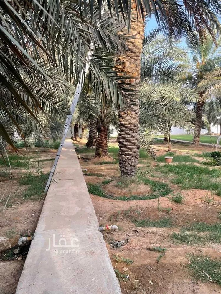 استراحة للإيجار في شارع الامير سلطان بن عبد العزيز, حي الأمير سلطان, مدينة امارة منطقة الرياض - الجبيله, منطقة الرياض صورة 4