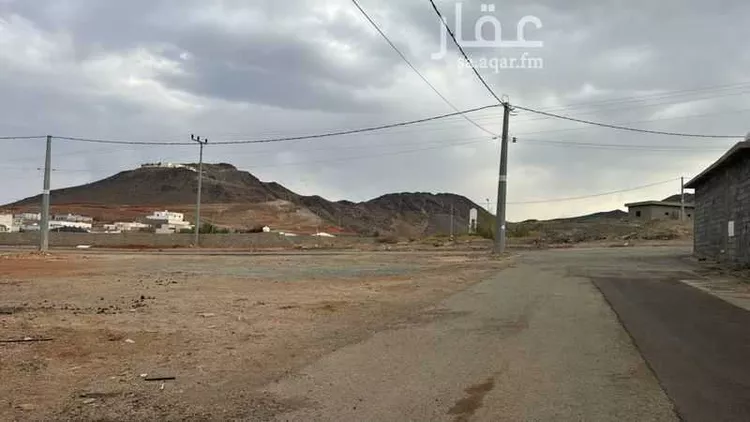 أرض للبيع في شارع أمية بن الأسكر, حي الطيبات, مدينة العقيق, منطقة الباحة صورة 2
