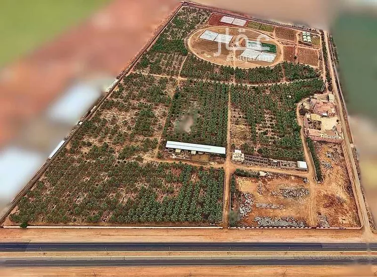 مزرعة للبيع في شارع طريق الملك عبد العزيز, مدينة امهات الذيابه, منطقة القصيم صورة 2