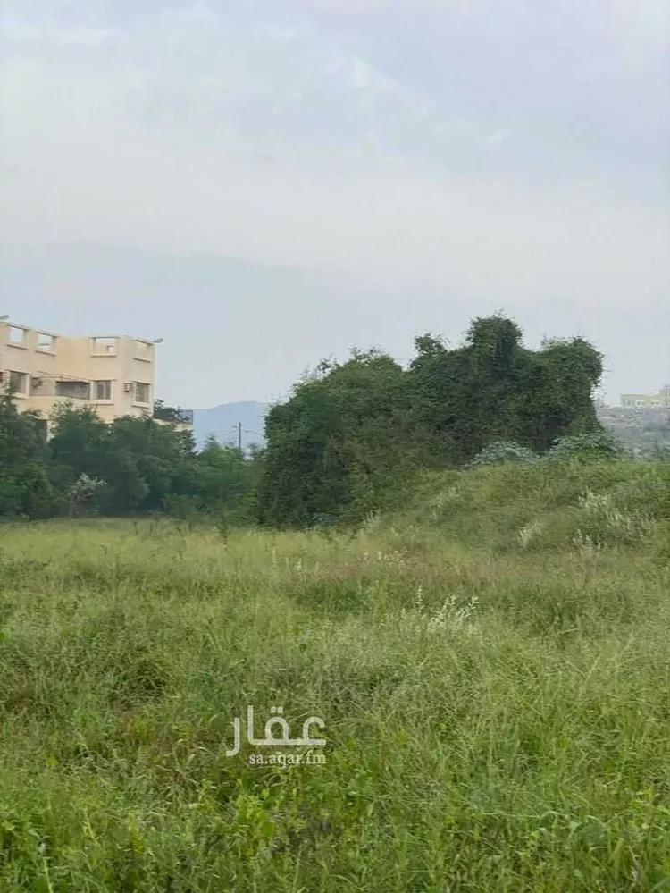 مزرعة للبيع في شارع طريق 4 متر, حي نيد الجرنه, مدينة نيد الجرنه, منطقة جازان صورة 2