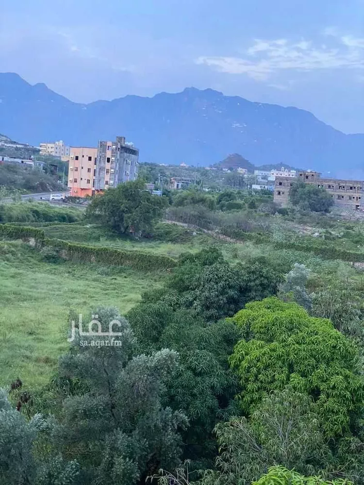 مزرعة للبيع في شارع طريق 4 متر, حي نيد الجرنه, مدينة نيد الجرنه, منطقة جازان صورة 3