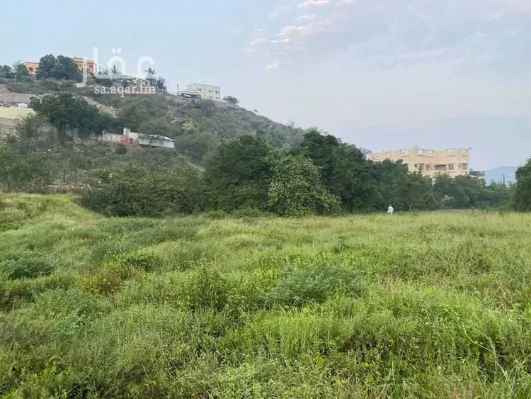 مزرعة للبيع في شارع طريق 4 متر, حي نيد الجرنه, مدينة نيد الجرنه, منطقة جازان صورة 4