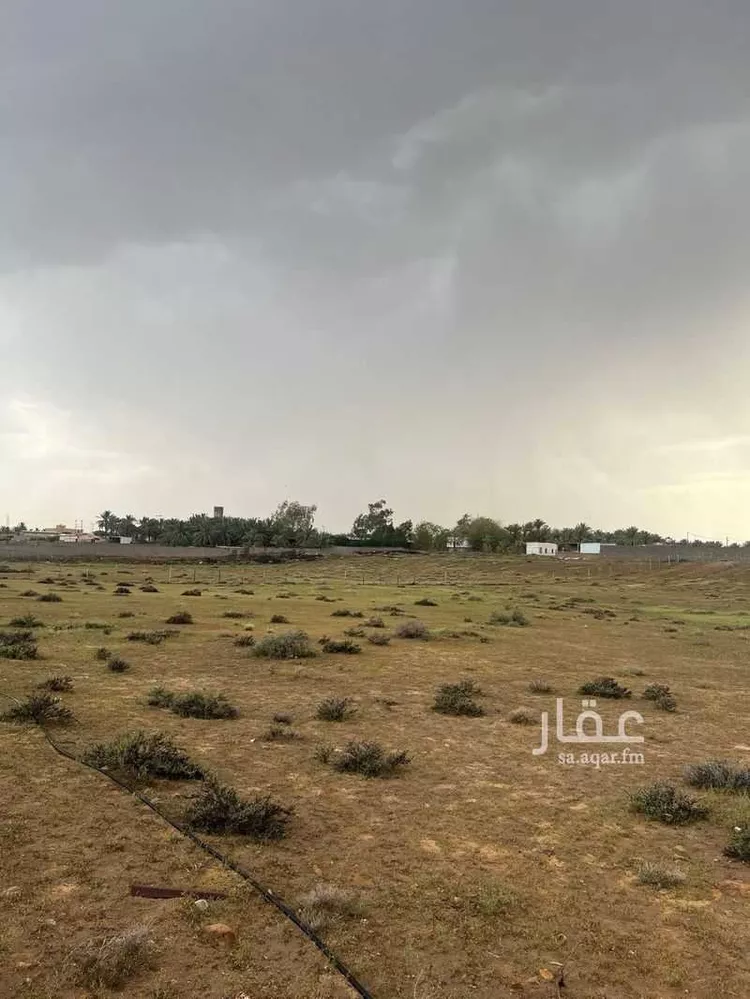 أرض للبيع في شارع البساتين 16, حي البساتين, مدينة البكيرية, منطقة القصيم صورة 4