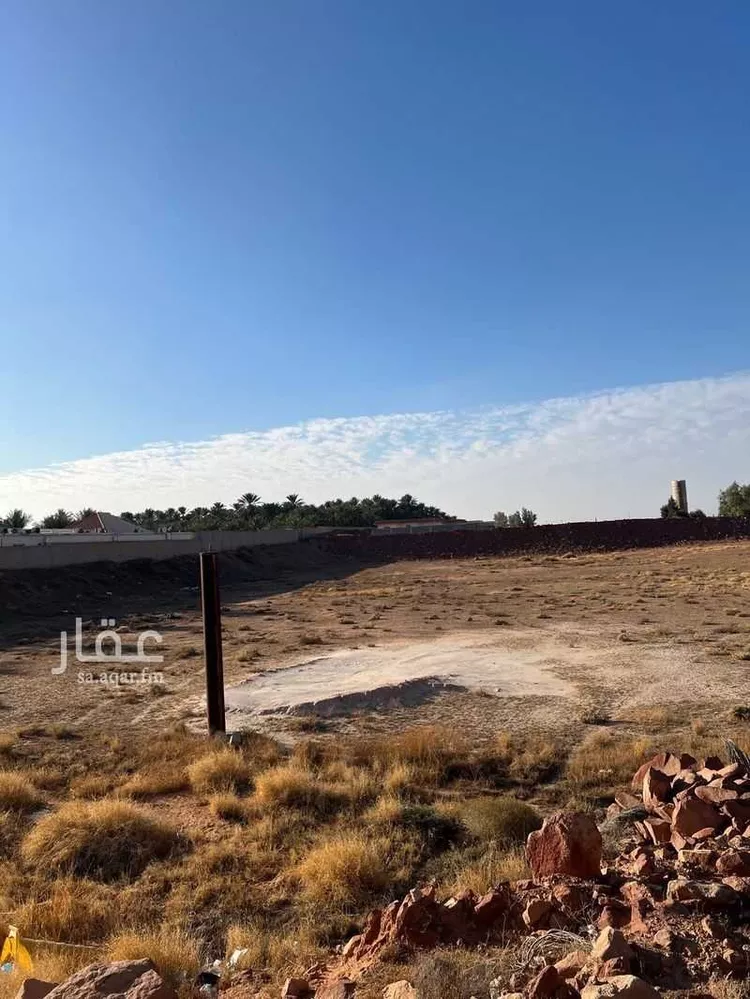 مزرعة للبيع في شارع العواد, حي الروضة, مدينة البكيرية, منطقة القصيم صورة 2