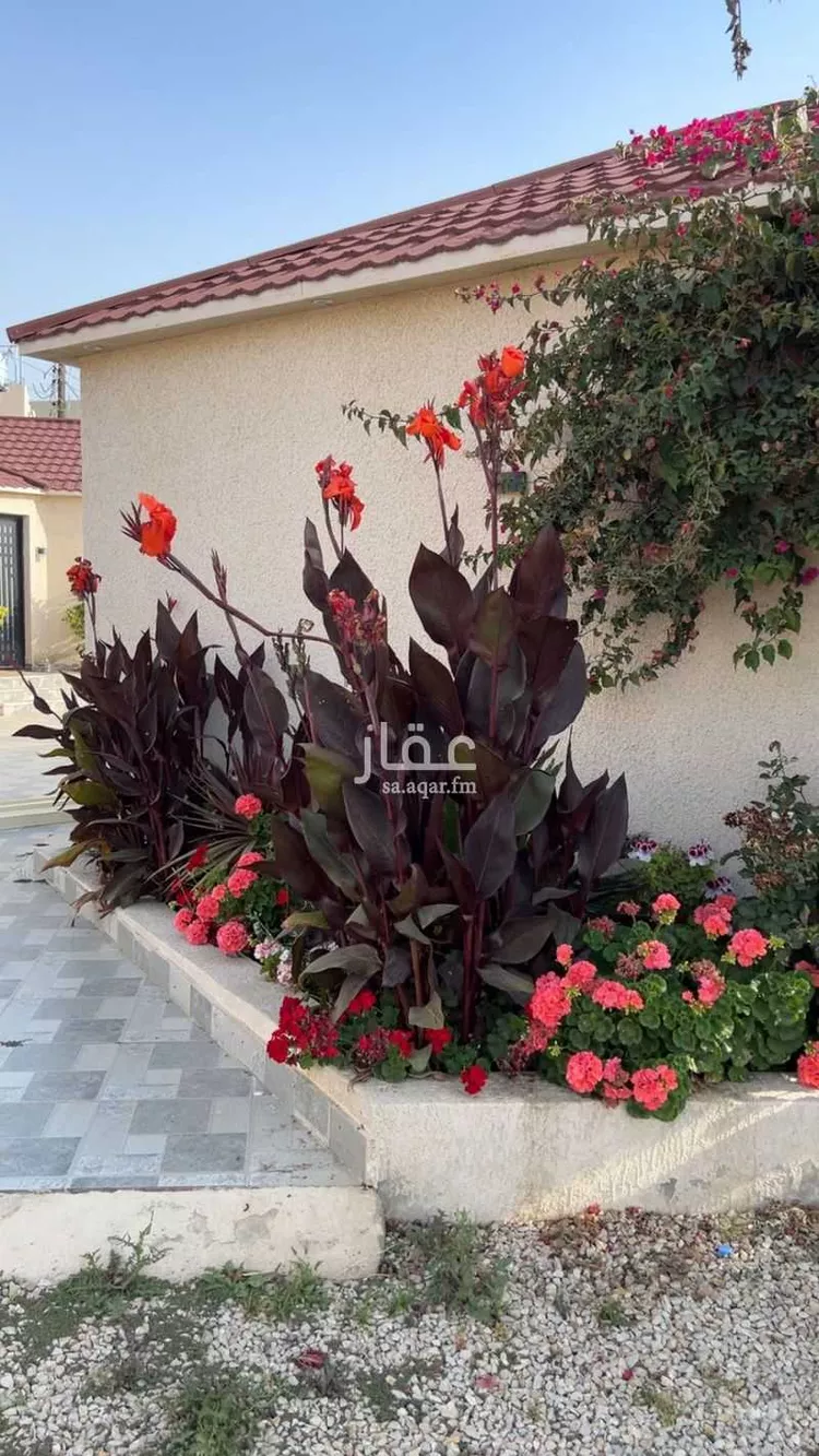 استراحة للإيجار في شارع رحيمه, حي العرين, مدينة أبها, منطقة عسير