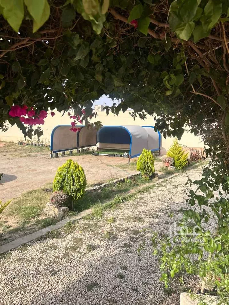 استراحة للإيجار في شارع رحيمه, حي العرين, مدينة أبها, منطقة عسير صورة 3