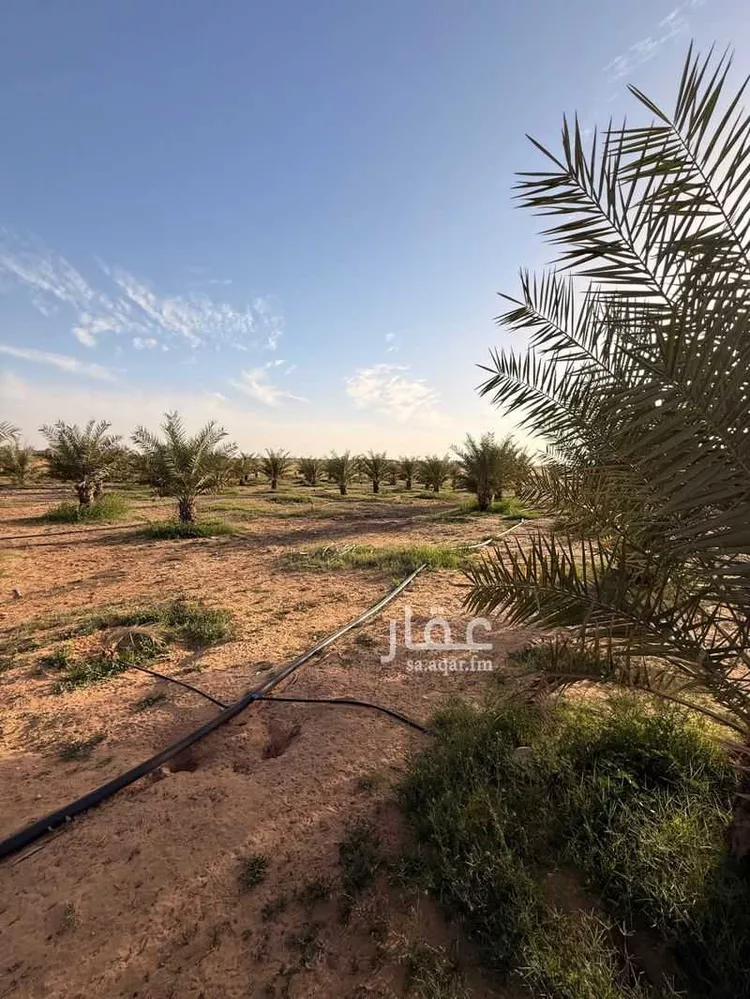 مزرعة للبيع في حي ساق, مدينة ساق, منطقة القصيم