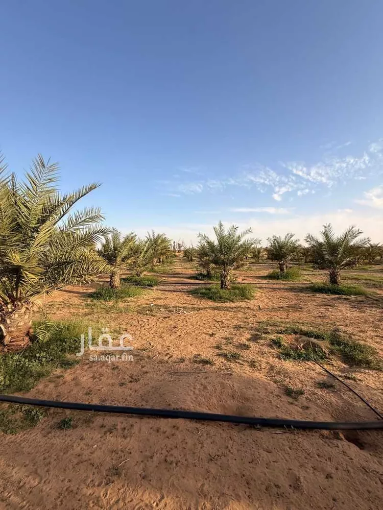 مزرعة للبيع في حي ساق, مدينة ساق, منطقة القصيم صورة 4