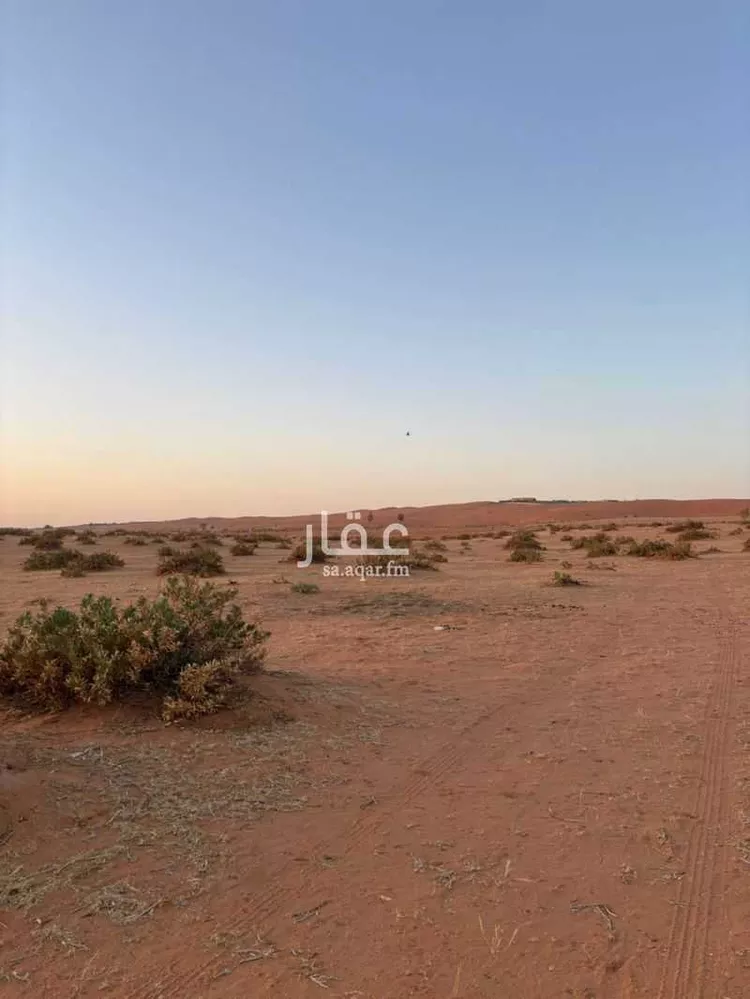 أرض للبيع في شارع السيباني, مدينة السيباني, منطقة الرياض صورة 3