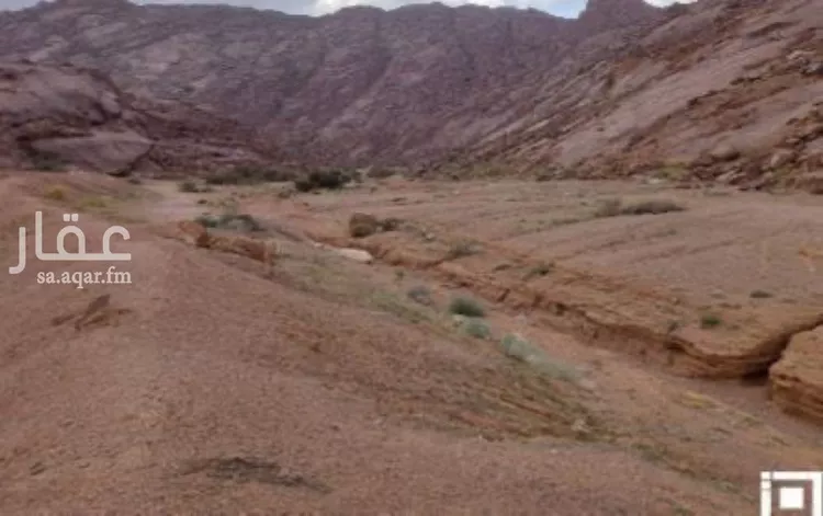 أرض للبيع في حي صبابة, مدينة حائل, منطقة حائل صورة 4