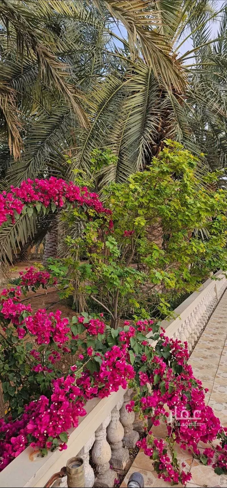 مزرعة للبيع في حي حي ج1, مدينة حريملاء, منطقة الرياض صورة 2