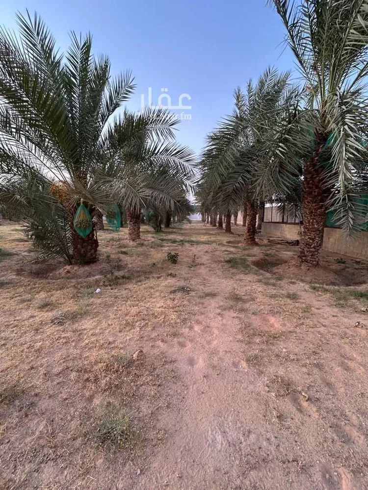 مزرعة للبيع في حي مزارع وادى العماريه, مدينة مزارع وادى العماريه, منطقة الرياض صورة 2