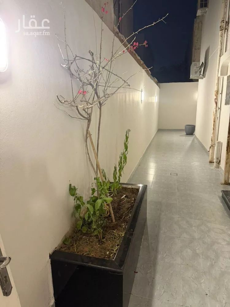 شقة للإيجار في شارع عقدة, حي السليمانية, مدينة الرياض, منطقة الرياض صورة 2