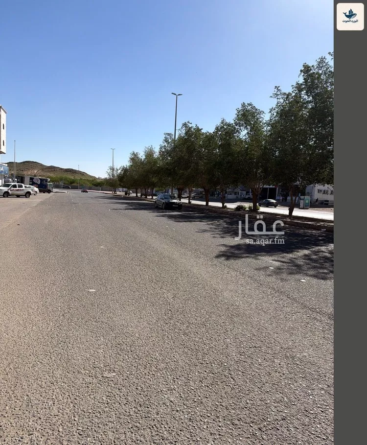 أرض للبيع في شارع صالح بن ابراهيم الزهري, حي الأجواد, مدينة جدة, منطقة مكة المكرمة صورة 4