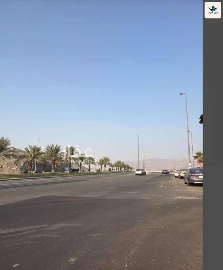 أرض للبيع في شارع عبد الله بن إبراهيم بن سليم, حي النسيم, مدينة مكة المكرمة, منطقة مكة المكرمة 6